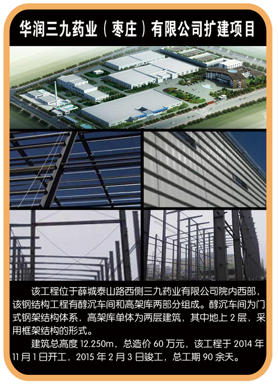华润三九药业（枣庄)有限公司扩建项目