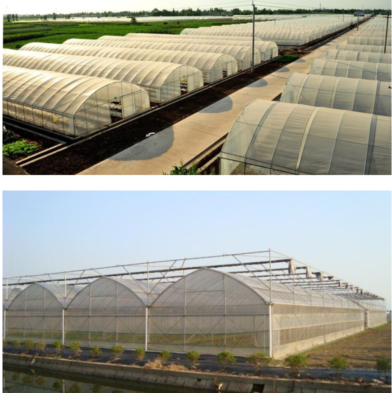 PC板温室